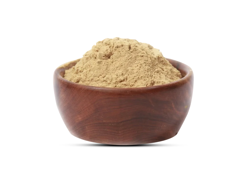 Dehydrated Bitter Gourd Powder