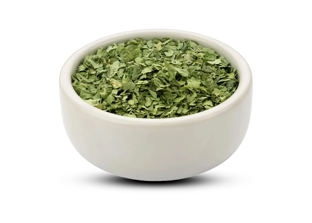 Dehydrated Coriander Leaves