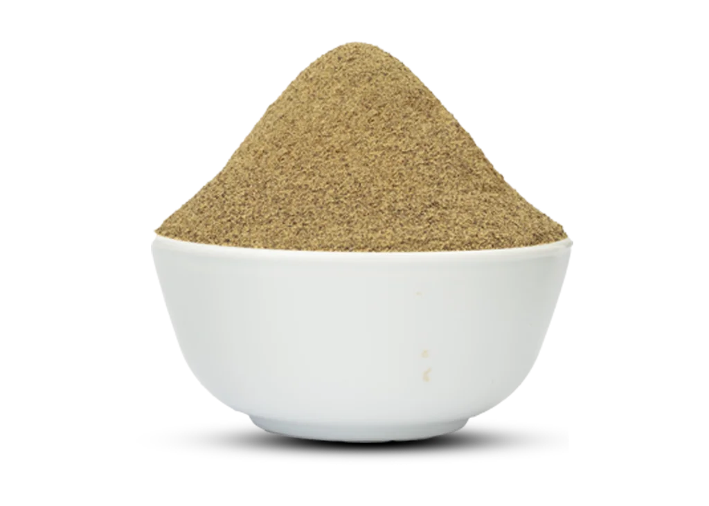 Dehydrated Coriander Powder