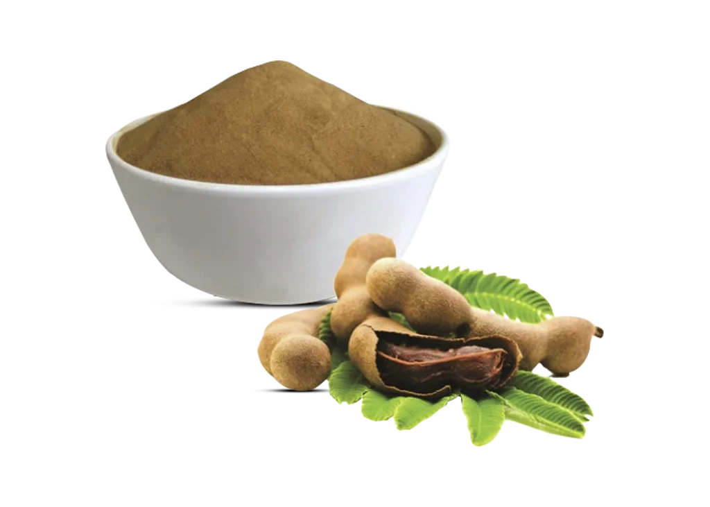 Dehydrated Tamarind Powder