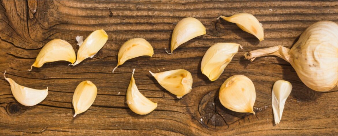 Dehydrated Onion, Garlic & More: How Food Manufacturers Should Choose the Right Formats