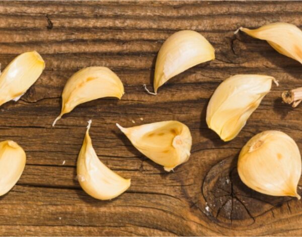 Dehydrated Onion, Garlic & More: How Food Manufacturers Should Choose the Right Formats
