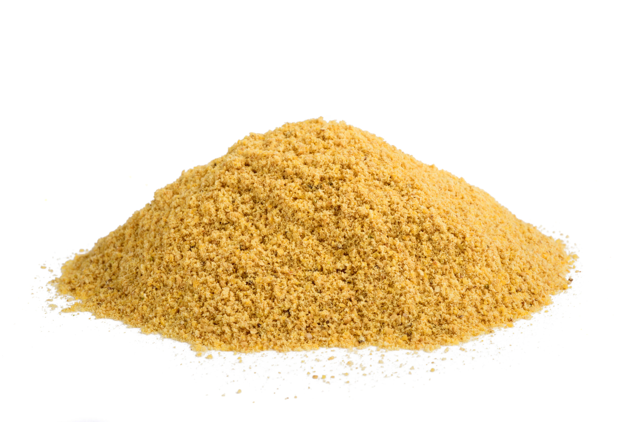 Onion Roasted Powder - shutterstock_493500670