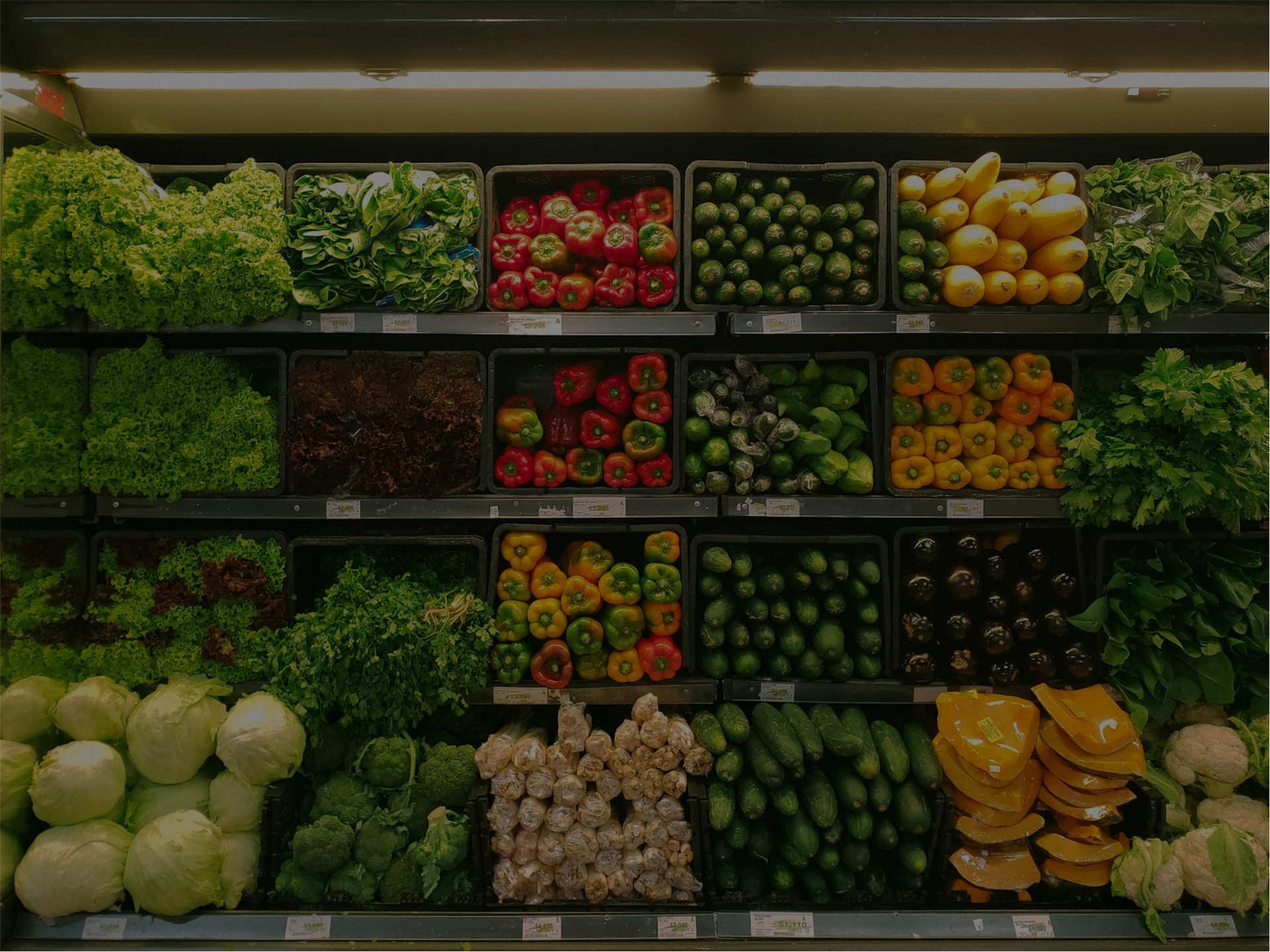 Why Dehydrated Vegetables Power Today’s Food Manufacturing